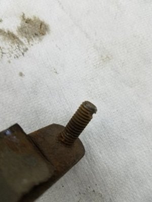 20190325_070639.jpg 20190325_070639.jpg