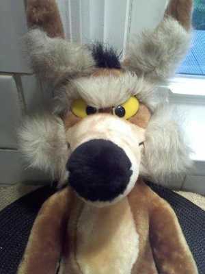 Wile E. 1993 004.jpg