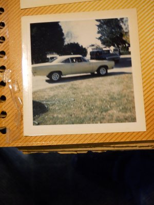 rezimned.jpg rezimned.jpg