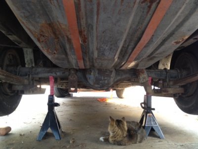 photo17z.jpg photo17z.jpg