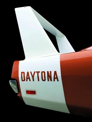 Superbird-640x853.jpg