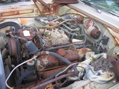 7061760-IMG_1697s.jpg 7061760-IMG_1697s.jpg