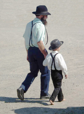 1046-Amishcrop.jpg 1046-Amishcrop.jpg