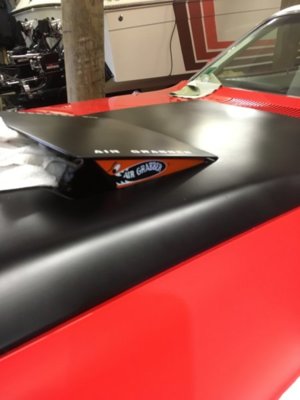 IMG_4076.JPG IMG_4076.JPG