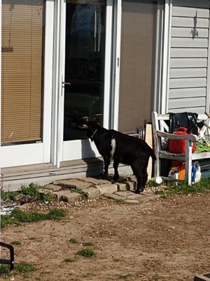 IMG_20190331_160424834.jpg IMG_20190331_160424834.jpg