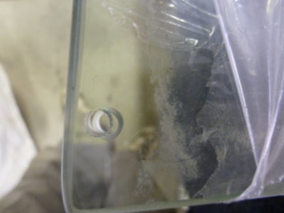 beerestoration2019 2918.JPG beerestoration2019 2918.JPG