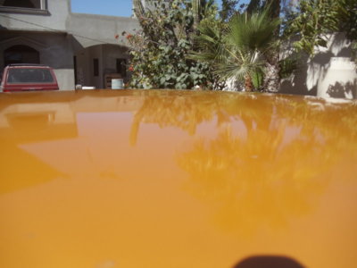 DSC06218.JPG DSC06218.JPG