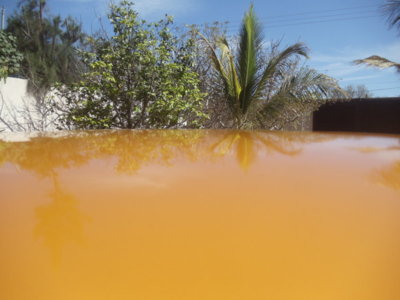 DSC06220.JPG DSC06220.JPG