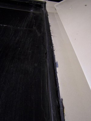 100_7196.jpg