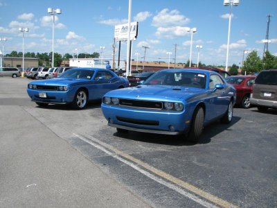 Twins, small.jpg