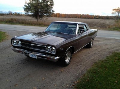 IMG_0105 - Copy (800x600).jpg