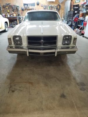 IMG_4955.JPG IMG_4955.JPG