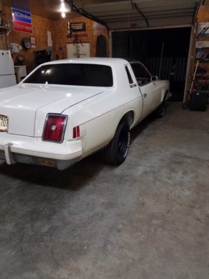 IMG_4956.JPG IMG_4956.JPG