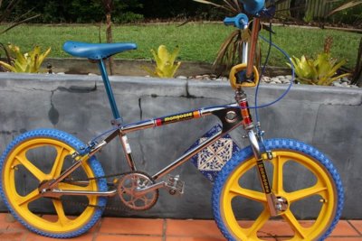 mongoose bilr.jpg