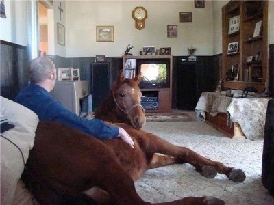 tumblr_pqa9uxMtIZ1wt22i6_640.jpg