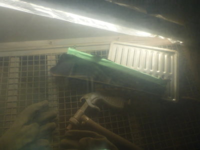 beerestoration2019part2 213.JPG beerestoration2019part2 213.JPG