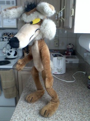 poseable 32 Wile 008.jpg