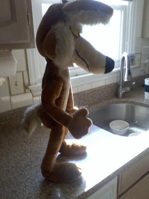 poseable 32 Wile 005.jpg
