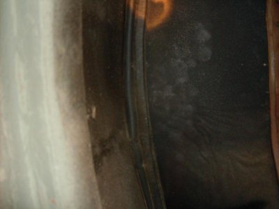 SDC10352.jpg SDC10352.jpg