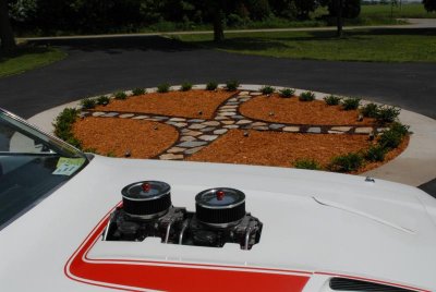 DSC_0013.jpg DSC_0013.jpg