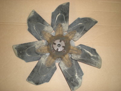 DSCN1218.JPG