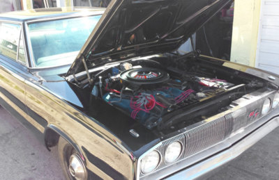 coronet_08.JPG coronet_08.JPG