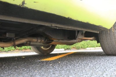 FD81479B-D4EA-4A0B-BC51-4F07DB7C739C.jpeg FD81479B-D4EA-4A0B-BC51-4F07DB7C739C.jpeg