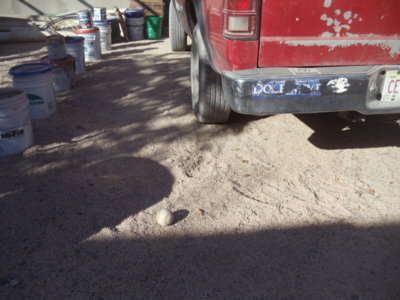 DSC06295.JPG DSC06295.JPG