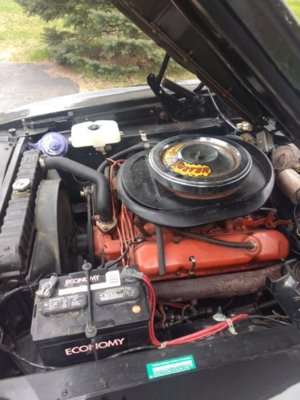 IMG_20190512_151750005.jpg IMG_20190512_151750005.jpg