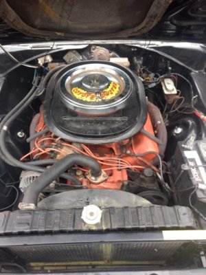 IMG_20190512_151739217.jpg IMG_20190512_151739217.jpg