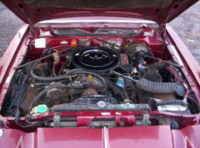 100_4100.JPG 100_4100.JPG