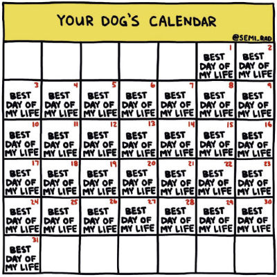 dogcalendarunnamed%20(4).jpg
