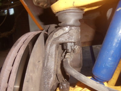 DSC06417.JPG DSC06417.JPG