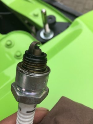 IMG_2316.jpg IMG_2316.jpg