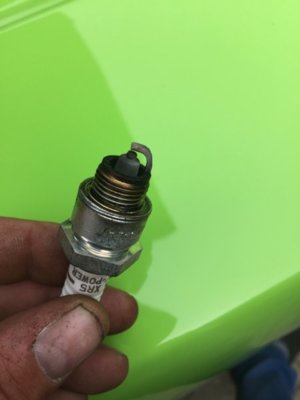 IMG_2318.jpg IMG_2318.jpg