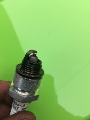 IMG_2321.jpg IMG_2321.jpg