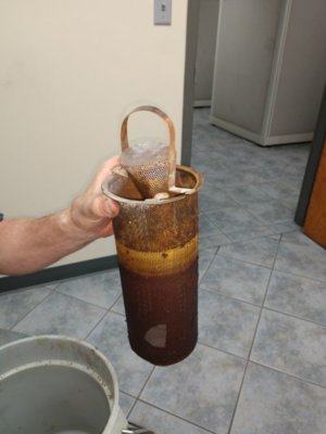 Donor C-Pillars (1).jpg Donor C-Pillars (1).jpg