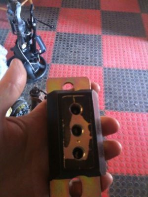 bird cluch 5 dd08.jpg