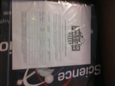 bird cluch 5 dd13.jpg