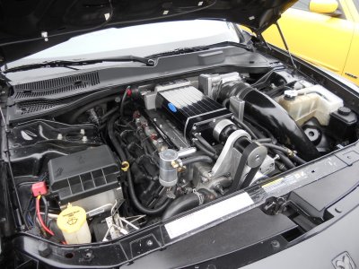 09-DSCN8244.JPG 09-DSCN8244.JPG