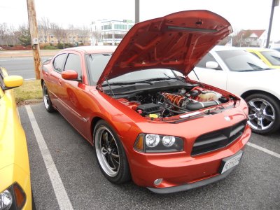 10-DSCN8245.JPG 10-DSCN8245.JPG