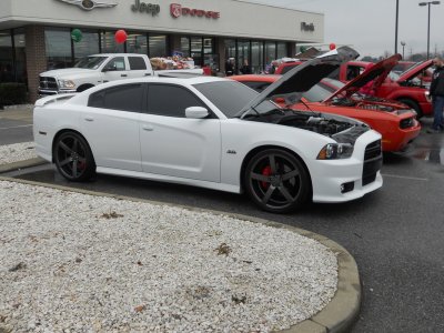 15-DSCN8250.JPG 15-DSCN8250.JPG