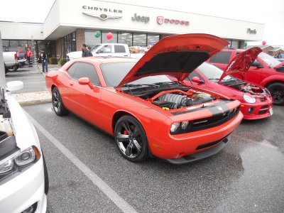 16-DSCN8251.JPG 16-DSCN8251.JPG