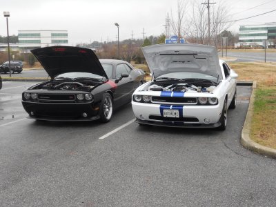 18-DSCN8254.JPG 18-DSCN8254.JPG