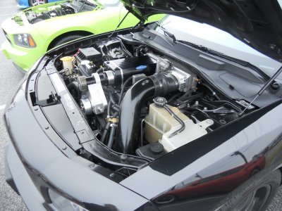 32-DSCN8282.JPG 32-DSCN8282.JPG