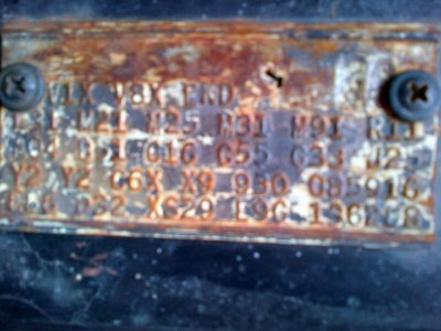 fendertag2.jpg