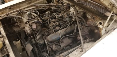 15589959136982403363922129096920.jpg 15589959136982403363922129096920.jpg