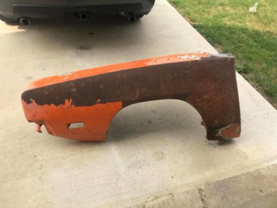 DS Fender.jpg DS Fender.jpg
