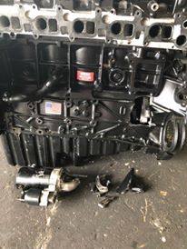 54524582_10216768272433205_1402760709992873984_n.jpg 54524582_10216768272433205_1402760709992873984_n.jpg