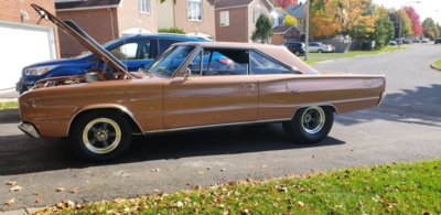 20181014_130029.jpg 20181014_130029.jpg